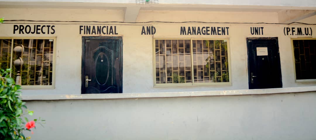 Consulting Services